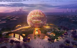 Sau vòm thép lớn nhất hành tinh của Việt Nam, Đại Dũng đảm nhận việc mới tại bảo tàng 700 triệu USD ở Saudi Arabia do vợ của Thái tử điều hành