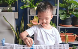 3 dấu hiệu XUNG QUANH NHÀ cho thấy con cái tương lai sẽ thành đạt - Hoàn toàn không phải mê tín