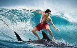 Góc nhìn chuyên gia: Rung lắc sớm xuất hiện, không nên FOMO mua đuổi ngay cả khi Index vượt đỉnh