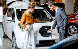 Xe điện cũ thành xu hướng mới, có người mua được với giá chưa đến 150 triệu đồng