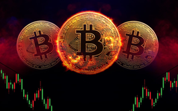 Các "cá voi" mua gần 2 tỷ USD Bitcoin trong 5 phiên liên tiếp thông qua các quỹ ETF