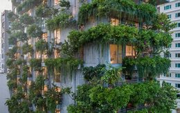 Một khách sạn ven biển Đà Nẵng bị phạt 564 triệu đồng