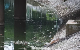 Sông Tô Lịch chỉ có thể hồi sinh khi quản lý tốt không gian hai bên bờ