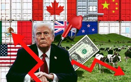 Mỹ sẽ sử dụng 100 tỷ tiền thu thuế từ các nước thế nào?