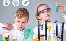 Zupp – Đột phá mới của đồ chơi trí tuệ thông minh giúp "tập thể dục" cho não bộ