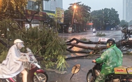 Cuối tháng 9, Biển Đông có thể đón 1-2 cơn bão mạnh