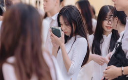 Người giàu nhất phim Việt giờ vàng