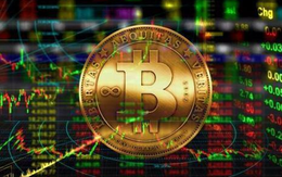 Triệt phá nhóm đối tượng lừa đảo chiếm đoạt tài sản dưới hình thức đầu tư dự án tiền ảo “WorldMall.app”