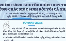 Phụ nữ sinh đủ 2 con trước 35 tuổi ở Đồng Nai được hỗ trợ 1 triệu đồng