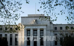 Cựu quan chức Mỹ ra điều kiện để trở thành Chủ tịch Fed tiếp theo