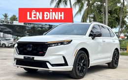 Xe hybrid bán chạy tháng 8 tại Việt Nam: CR-V bất ngờ lên đỉnh, Yaris Cross tăng mạnh nhưng nhiều mẫu xe Toyota lao dốc