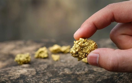 Phát hiện 2.500 kg vàng trị giá 7.000 tỷ đồng bị bỏ ngoài hố rác