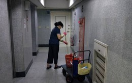 Cơn sốt ứng tuyển vào làm nhân viên vệ sinh tại một siêu thị: 132.000 người đăng ký, hệ thống nộp đơn tắc nghẽn, tỷ lệ đỗ chỉ 0,7%