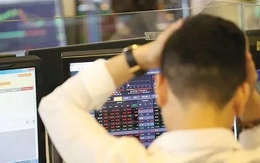 Sắc đỏ lan rộng, cổ phiếu Vingroup gây bất ngờ