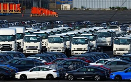 Mỹ giảm thuế quan đối với ô tô nhập khẩu từ Nhật Bản xuống 15% từ ngày 16/9