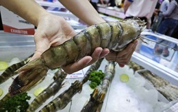 Trung Quốc ồ ạt mua tôm Việt, lần đầu soán vị trí nhập khẩu số 1 từ Mỹ