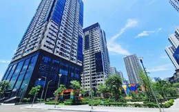 Hano-vid ghi nhận nhiều tín hiệu tích cực trong 6 tháng đầu năm 2025