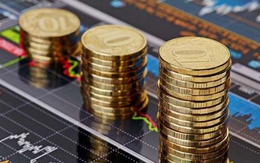 Vì sao bạn cần phải đầu tư sớm?