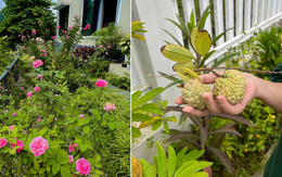 Cựu hoa khôi VTV khoe 1 góc vườn nhà đẹp rụng tim, yên bình đến mức muốn dọn về sống luôn!