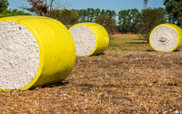 Mỹ đã chi hơn 10 tỷ USD mua một mặt hàng quan trọng của Việt Nam: Nước ta vừa vươn lên đứng thứ 2 thế giới, hàng trăm quốc gia đã đặt gạch mua hàng