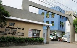 Vi phạm trong lĩnh vực chứng khoán, Gỗ Đức Thành bị phạt hơn 200 triệu đồng