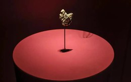 Bảo tàng Pháp bị đánh cắp mẫu vật vàng trị giá 600.000 Euro