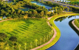 Từ quy hoạch tổng thể đến từng mảng xanh: Tập đoàn Nam Long cam kết phát triển bền vững