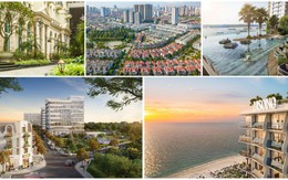 Văn Phú lọt Top 10 thương hiệu bất động sản giá trị nhất Việt Nam 2025