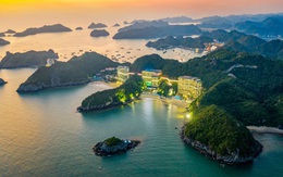 Flamingo Cát Bà Resorts xác lập vị thế top đầu qua hiệu suất lấp đầy ấn tượng