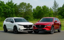 Bức tranh thị trường ô tô 8 tháng đầu năm: SUV áp đảo, MPV bứt tốc, sedan ‘hụt hơi’ - người Việt đang thay đổi thị hiếu mua xe?