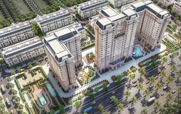 DIC Corp dự kiến báo lãi đột biến quý III/2025 nhờ thương vụ bán dự án nghìn tỷ ở Ninh Bình