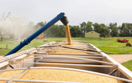 Quốc gia BRICS đưa ra 'hình phạt' chưa từng có trong gần 30 năm với Mỹ: Ngừng hoàn toàn mua một loại mặt hàng dù trước nhập 25 triệu tấn/năm, giúp Washington thu về hàng chục tỷ USD