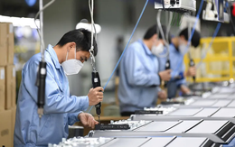 Người lao động làm không quá 8 giờ/ngày, hưởng 300% lương dịp lễ Tết