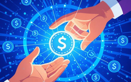 Công ty P2P Lending được cấp phép thử nghiệm phải báo cáo cho CIC những thông tin gì?