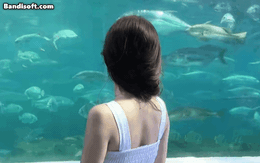 Việt Nam mới có 1 nữ thần thanh xuân đẹp rụng rời, nhan sắc trăm người ngắm vạn người cuống cuồng thả like