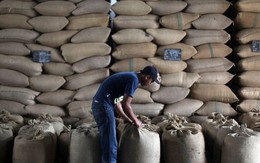 Hàng nghìn tấn hàng của Việt Nam vừa đổ bộ Campuchia với giá đắt đỏ: xuất khẩu tăng hơn 400%, thu về 6 tỷ USD vượt xa kế hoạch đầu năm