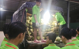 Các vựa sầu riêng thu mua xuyên lễ 2-9