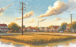 Rao bán lô đất đẹp cả năm vẫn ế, khách đến xem ép giá chỉ vì cột điện chắn trước mặt