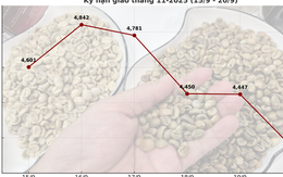 Giá cà phê hôm nay 20-9: Chốt tuần sụp mạnh