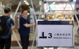 Ba cơn bão khuấy đảo Thái Bình Dương, bão Ragasa thuộc loại "mạnh nhất năm nay"