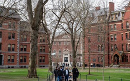 Bí quyết nuôi con đỗ Harvard: Không học thêm, không ép buộc, chỉ cần 3 ĐIỀU - cha mẹ Việt ít để ý!