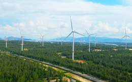 Tập đoàn Singapore đầu tư dự án điện gió hơn 228 triệu USD tại Gia Lai