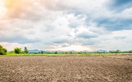 Đất nông nghiệp chưa có Giấy chứng nhận, bồi thường thế nào?