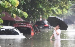 Tin mới nhất về bão Ragasa và dự báo thời điểm miền Bắc hứng mưa lớn diện rộng