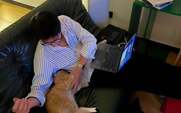 Tân sinh viên ở chung cư 5 tỷ đồng vẫn đi làm phục vụ quán cafe, chạy xe đạp điện: Bí mật của người giàu!