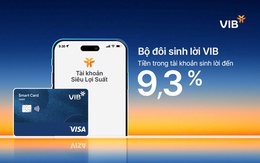 Bộ đôi Sinh Lời VIB – Giải pháp tài chính tối ưu dòng tiền đến 9,3%