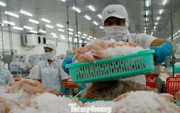 Thách thức thuế Mỹ là ‘phép thử’ quan trọng với doanh nghiệp