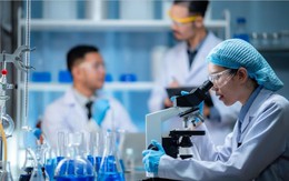 Tin vui có hiệu lực từ 19/9: Chuyên gia khoa học, công nghệ, đổi mới sáng tạo và chuyển đổi số được hỗ trợ 1 tháng lương để ổn định chỗ ở, thưởng hằng năm tới 4 tháng lương