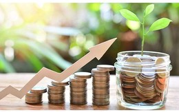 Một công ty bảo hiểm phát hành 29 triệu cổ phiếu, tăng vốn điều lệ thêm 40%