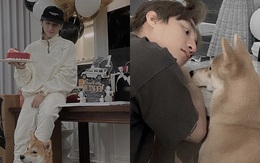 Nhà Sơn Tùng M-TP có 2 con "lông lá" bị gọi là "nỗi phiền phức", hóa ra cũng là "hot face" nổi tiếng